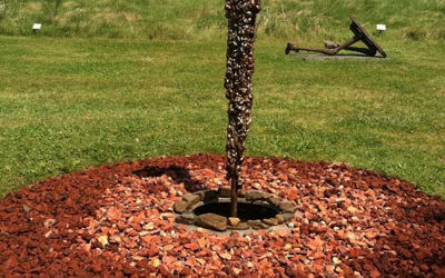 Coral Penelope Lambert