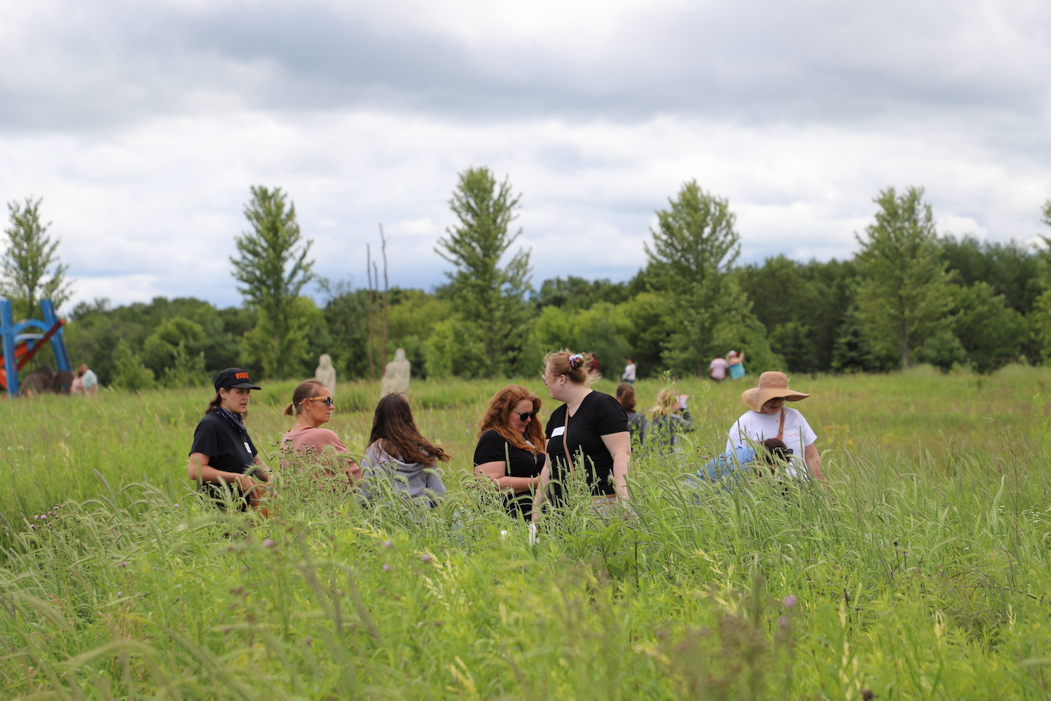Sketching in Nature Thumbnail