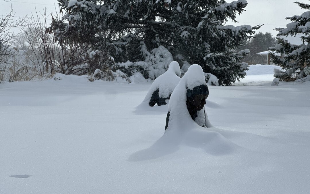 Freedom and Revolution