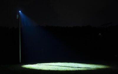 Shan Wu & Drew Cavicchi