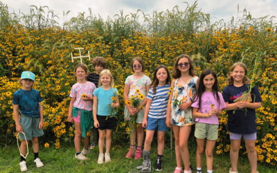 Three Weeks of Summer Fun at Franconia