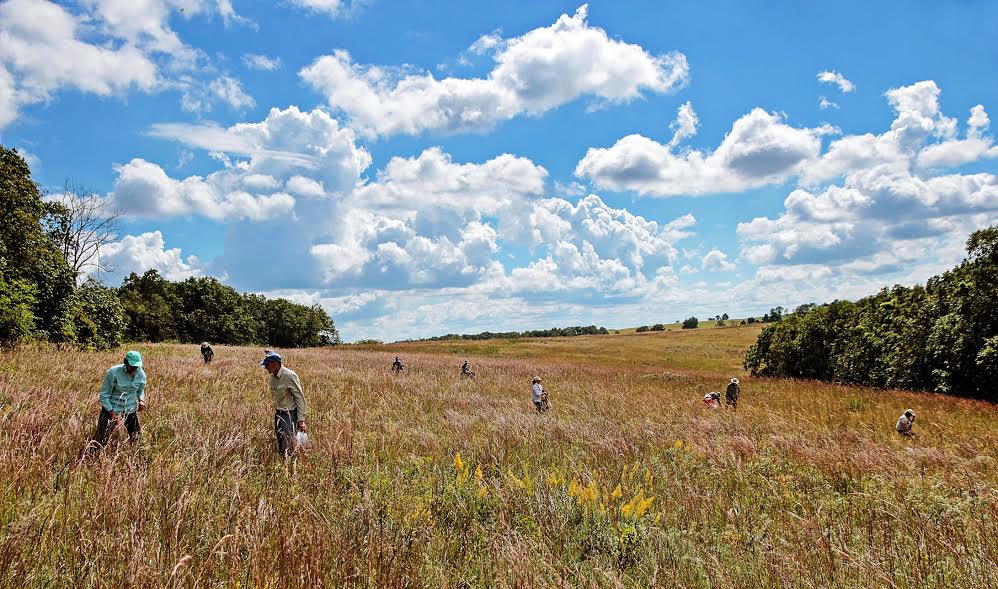 People hanging out at Franconia Sculpture Park
