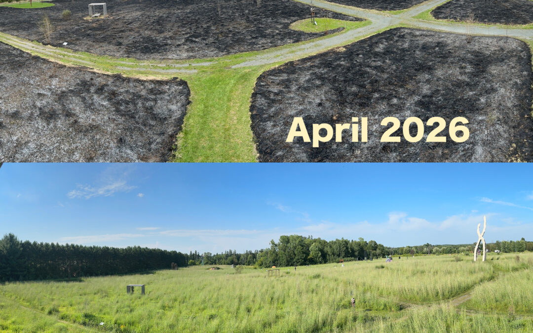 Prairie Burn Update 