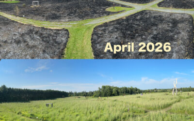 Prairie Burn Update 