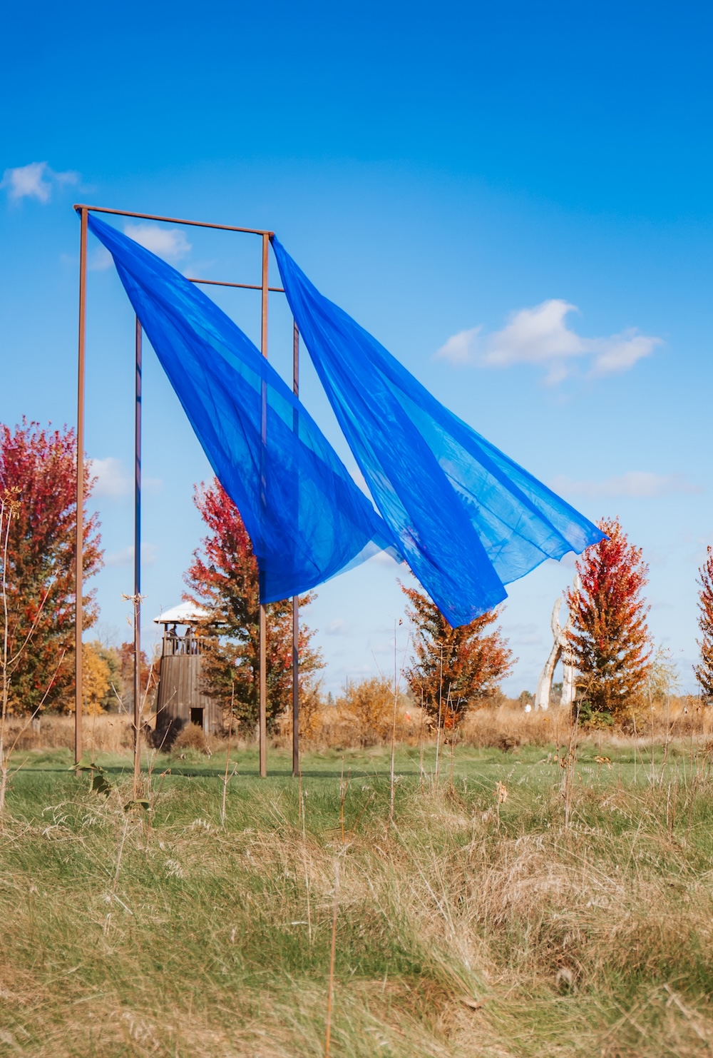 Kite Making Workshop